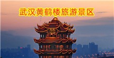 大黑屌狂草亚洲女