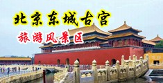 坤巴喷水中国北京-东城古宫旅游风景区